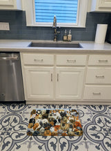 Load image into Gallery viewer, Fifty One Dogs Machine Washable Memory Foam Mat BDBA0441RUG