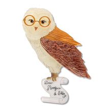 Load image into Gallery viewer, Barny Owl Brooch by Erstwilder