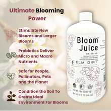 Load image into Gallery viewer, Bloom Juice Award-Winning Formula