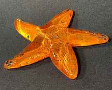 Load image into Gallery viewer, Mandarin Starfish