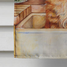 Load image into Gallery viewer, Cat In Sink by Debbie Cook Flag Canvas House Size CDCO0195CHF