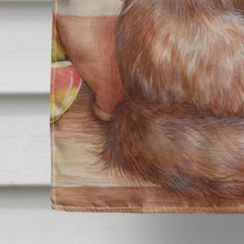 Load image into Gallery viewer, Maine Coon Cat by Debbie Cook Flag Canvas House Size CDCO0236CHF