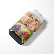 Load image into Gallery viewer, Pigs Nose To Nose by Debbie Cook Can or Bottle Hugger CDCO0350CC