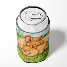 Load image into Gallery viewer, Pigs Tamworths In Clover Can or Bottle Hugger CDCO0358CC