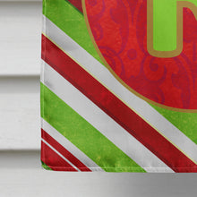 Load image into Gallery viewer, Christmas Oranment Holiday Letter R Monogram Initial Flag  House Size