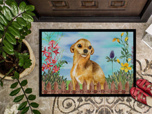 Load image into Gallery viewer, Chihuahua Spring Doormat - 24x36 Decorative Floor Mat – Indoor/Outdoor Rug with Artistic Flair CK1220JMAT