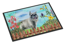 Load image into Gallery viewer, Schnauzer Spring Doormat - 24x36 Decorative Floor Mat – Indoor/Outdoor Rug with Artistic Flair CK1224JMAT