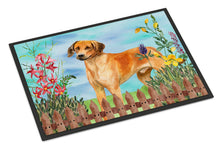 Load image into Gallery viewer, Rhodesian Ridgeback Spring Doormat - 24x36 Decorative Floor Mat – Indoor/Outdoor Rug with Artistic Flair CK1238JMAT