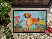 Load image into Gallery viewer, Rhodesian Ridgeback Spring Doormat - 18x27 Decorative Floor Mat – Indoor/Outdoor Rug with Artistic Flair CK1238MAT