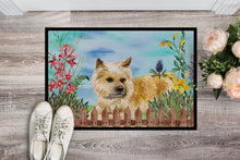 Load image into Gallery viewer, Cairn Terrier Spring Doormat - 18x27 Decorative Floor Mat – Indoor/Outdoor Rug with Artistic Flair CK1252MAT
