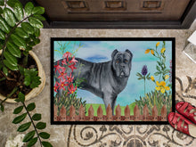 Load image into Gallery viewer, Cane Corso Spring Doormat - 18x27 Decorative Floor Mat – Indoor/Outdoor Rug with Artistic Flair CK1256MAT