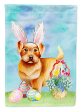 Load image into Gallery viewer, Norfolk Terrier Easter Bunny Garden Flag - Outdoor Decorative Yard Flag CK1376GF