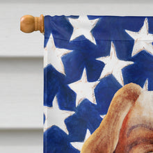 Load image into Gallery viewer, Cavalier Spaniel Patriotic Flag Canvas House Size CK1384CHF
