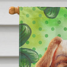 Load image into Gallery viewer, Cavalier Spaniel Shamrocks Flag Canvas House Size CK1398CHF