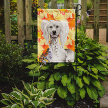 Load image into Gallery viewer, Chinese Crested Fall Garden Flag - Outdoor Decorative Yard Flag CK1408GF