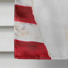 Load image into Gallery viewer, Patriotic USA Rough Collie Flag Canvas House Size CK1719CHF
