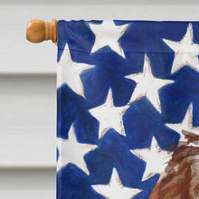 Load image into Gallery viewer, Patriotic USA Labradoodle Flag Canvas House Size CK1726CHF