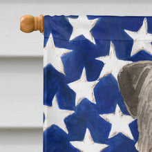 Load image into Gallery viewer, Patriotic USA Irish Wolfhound Flag Canvas House Size CK1728CHF