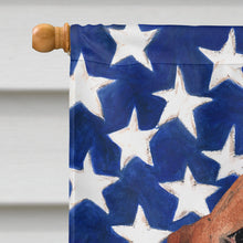 Load image into Gallery viewer, Patriotic USA Basset Hound Flag Canvas House Size CK1742CHF