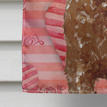 Load image into Gallery viewer, Love a Labradoodle Flag Canvas House Size CK1763CHF