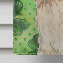 Load image into Gallery viewer, Shamrocks Spinone Italiano Flag Canvas House Size CK1786CHF