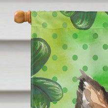 Load image into Gallery viewer, Shamrocks Sheltie Flag Canvas House Size CK1790CHF