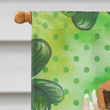 Load image into Gallery viewer, Shamrocks Rough Collie Flag Canvas House Size CK1793CHF