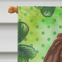 Load image into Gallery viewer, Shamrocks Newfoundland Flag Canvas House Size CK1795CHF