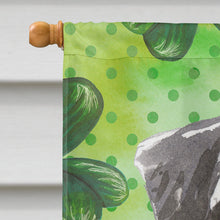 Load image into Gallery viewer, Shamrocks Schnauzer #2 Flag Canvas House Size CK1796CHF