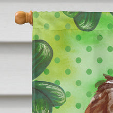 Load image into Gallery viewer, Shamrocks Labradoodle Flag Canvas House Size CK1800CHF