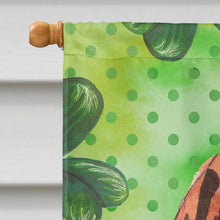 Load image into Gallery viewer, Shamrocks Vizsla Flag Canvas House Size CK1803CHF