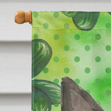 Load image into Gallery viewer, Shamrocks Boston Terrier Flag Canvas House Size CK1812CHF
