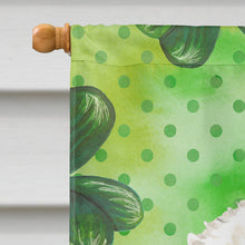 Load image into Gallery viewer, Shamrocks Bichon Frise Flag Canvas House Size CK1814CHF