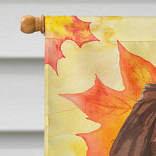 Load image into Gallery viewer, Fall Leaves Newfoundland Flag Canvas House Size CK1832CHF