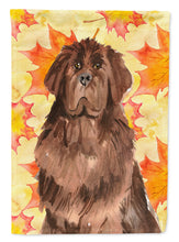 Load image into Gallery viewer, Fall Leaves Newfoundland Garden Flag - Outdoor Decorative Yard Flag CK1832GF