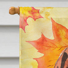 Load image into Gallery viewer, Fall Leaves Vizsla Flag Canvas House Size CK1840CHF