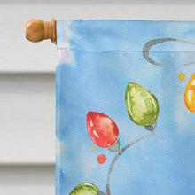 Load image into Gallery viewer, Christmas Lights Catahoula Leopard Dog Flag Canvas House Size CK2475CHF