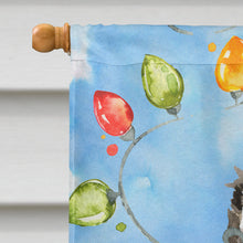 Load image into Gallery viewer, Christmas Lights Sheltie Flag Canvas House Size CK2492CHF