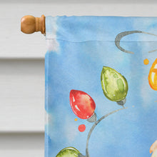 Load image into Gallery viewer, Christmas Lights Weimaraner Flag Canvas House Size CK2497CHF