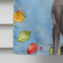 Load image into Gallery viewer, Christmas Lights Black Labrador Retriever Flag Canvas House Size CK2505CHF