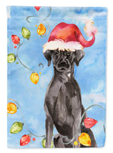 Load image into Gallery viewer, Christmas Lights Black Labrador Retriever Flag Canvas House Size CK2505CHF