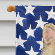 Load image into Gallery viewer, American Shorthair Brown Tabby American Flag Flag Canvas House Size CK3028CHF