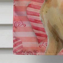 Load image into Gallery viewer, Abyssinian Cat Love Flag Canvas House Size CK3042CHF