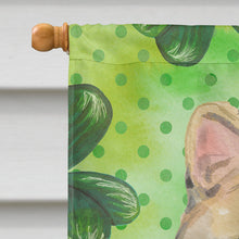 Load image into Gallery viewer, American Shorthair Brown Tabby Shamrock Flag Canvas House Size CK3058CHF
