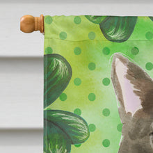 Load image into Gallery viewer, Bombay Shamrock Flag Canvas House Size CK3062CHF