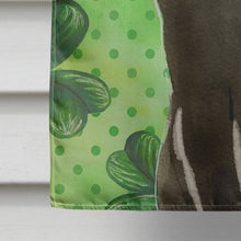 Load image into Gallery viewer, Bombay Shamrock Flag Canvas House Size CK3062CHF