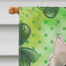 Load image into Gallery viewer, Ragamuffin Shamrock Flag Canvas House Size CK3066CHF