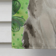 Load image into Gallery viewer, Ragamuffin Shamrock Flag Canvas House Size CK3066CHF