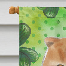 Load image into Gallery viewer, Scottish Fold Shamrock Flag Canvas House Size CK3068CHF