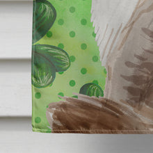 Load image into Gallery viewer, Siberian Shamrock Flag Canvas House Size CK3070CHF